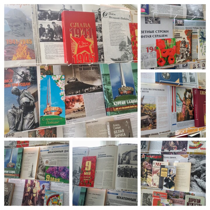 20250508_161245-COLLAGE